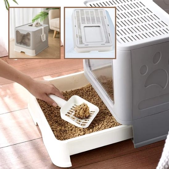 Litière pour chat I MiaouBox™ - Mioumiou