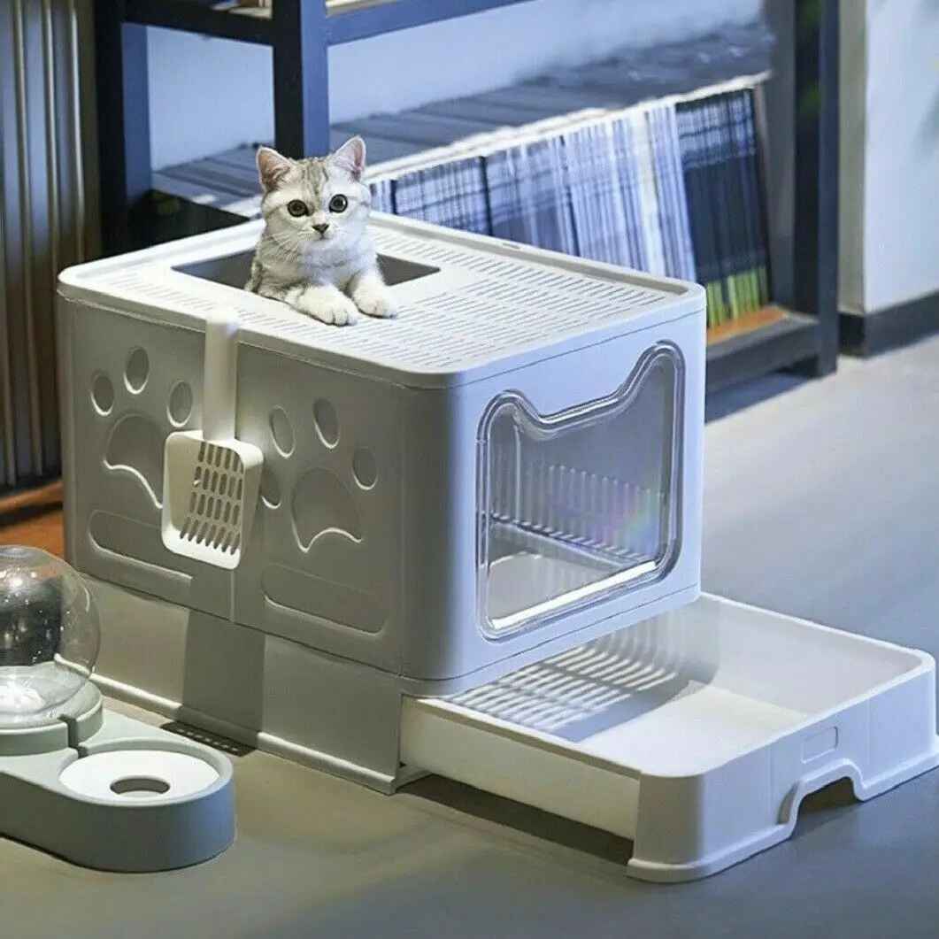 Litière pour chat I MiaouBox™ - Mioumiou
