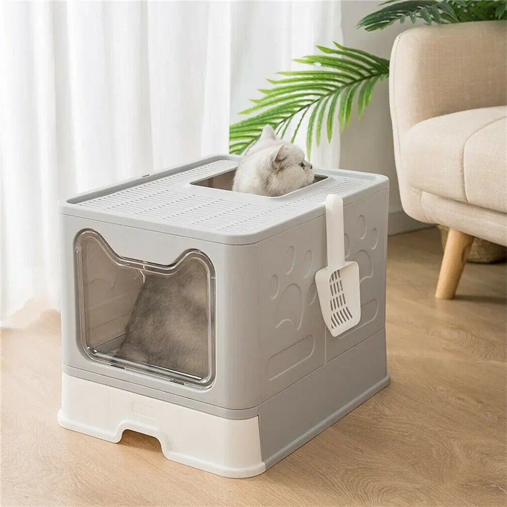 Litière pour chat I MiaouBox™ - Mioumiou