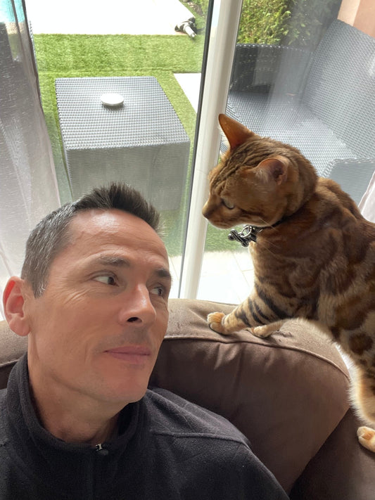 Éduquer Son Chat : Conseils et Astuces pour une Convivialité Parfaite - Mioumiou