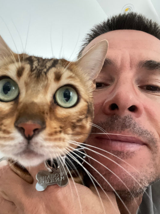 Pourquoi mon chat me lèche-t-il ? - Mioumiou